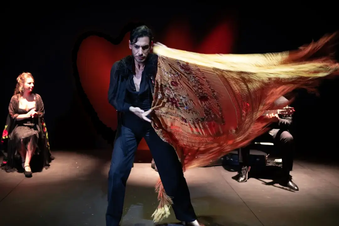 Authentic Flamenco show in Detroit - Authentic Flamenco Tampa: A Traditional Spanish Show