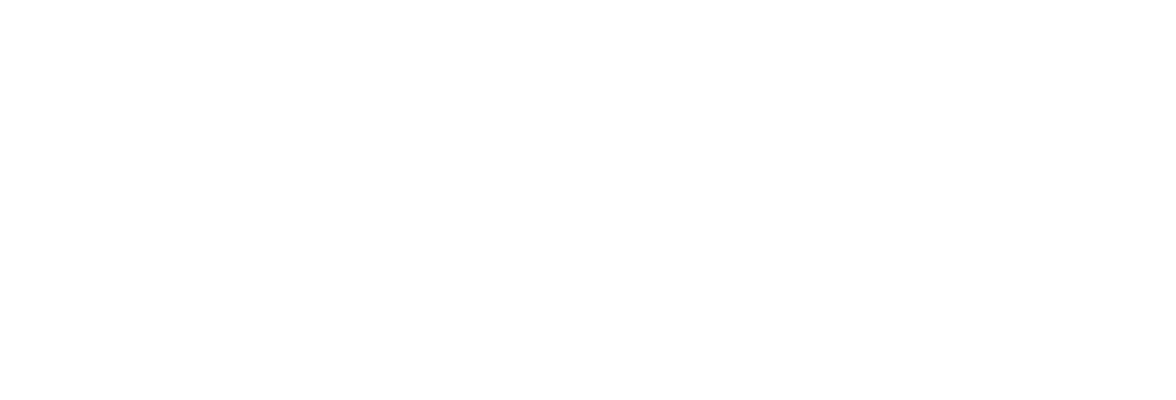 Secret Media Network