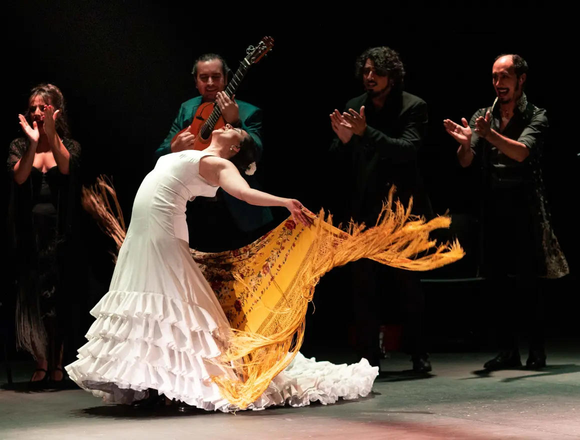 A man dancing flamenco at the Authentic Flamenco show in NYC - Authentic Flamenco Guanajuato: Espectáculo Flamenco de España